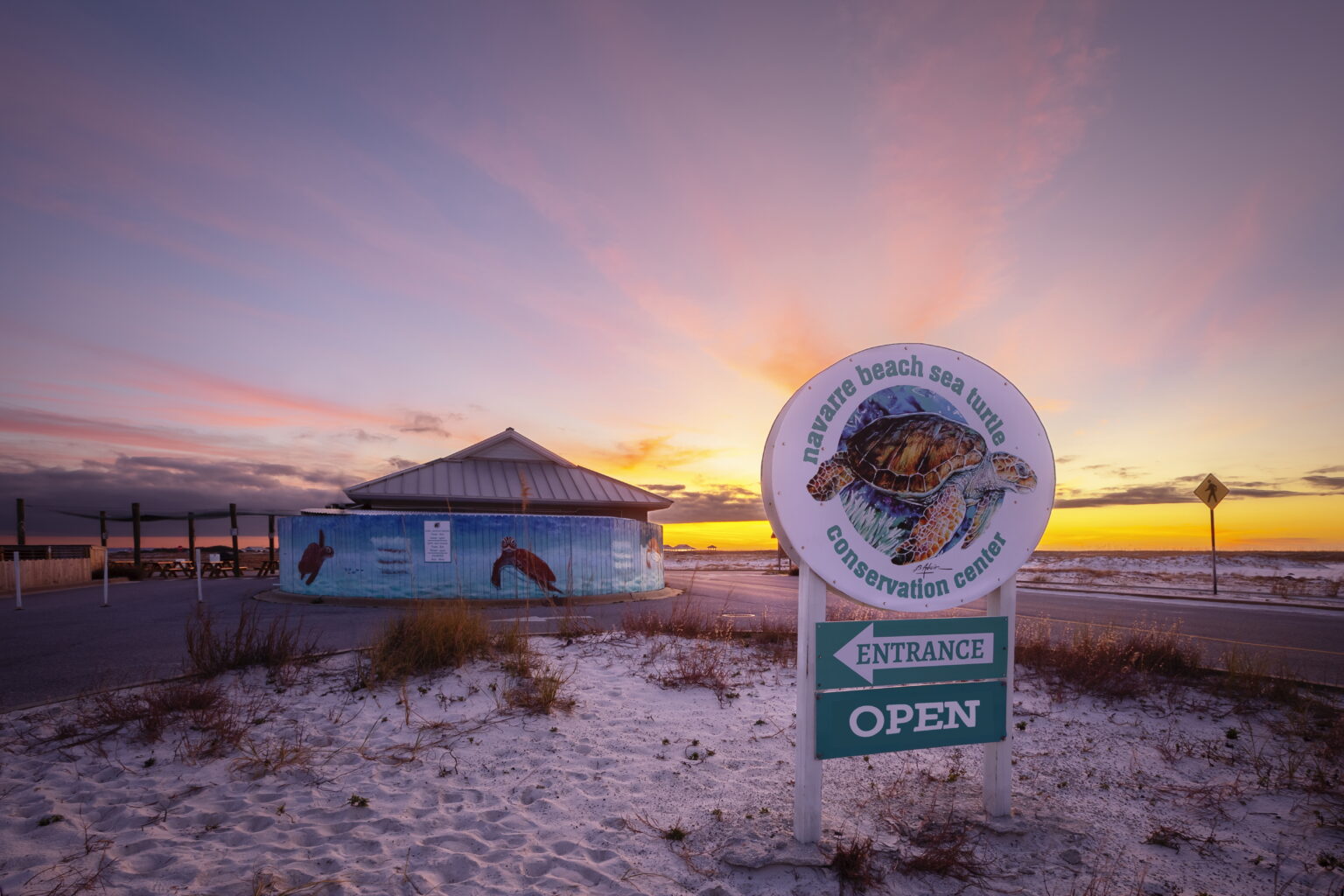 Navarre Beach Sea Turtle Conservation Center Debbie Roney Smith REALTOR   263d347536d74af7a4abd178281ff5e7 1 1536x1024 